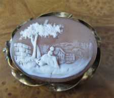 Detailed Sardonyx shell landscape with woman at the wall & trees. Gold or GF “twisted rope” Brooch. Circa 1880.