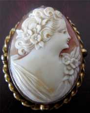 Nicely Carved 12K GF Carnelian Shell Cameo Brooch & Pendant Twisted Bezel Set. Circa 1930