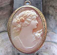 Superior Edwardian shell from the 1905-1915. Signed. Big Gold or Gold filled brooch/pendant.