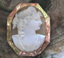 Nicely hand carved Psyche Goddess Conch shell vintage. Unmarked Gold/ Goldish etched brooch circa 1915