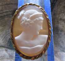 Superiorly carved Victorian/Edwardian classic shell circa 1910. Unmarked Gold/ Gold filled twisted rope brooch.