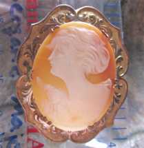 Well carved from 1910--1920 conch shell stylish portrait. Big unmarked Gold washed ornamental brooch