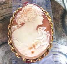 Great quality executed Carnelian multi colors Huge shell Gold/Gold filled brooch/pendant from the 1930th.