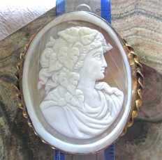 Early Victorian shell - Bacchante from the 1850-1875. Huge Gold gilded twisted rope brooch from UK.