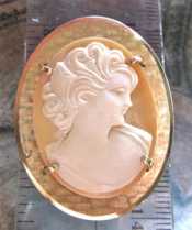 Hand carved Shell from 1950th - 1960th Gold plated brooch/pendant
