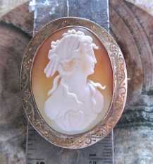 Early Victorian Beauty circa 1865 - Quality Conch shell carving. Gold/Gold plated etched ornamental brooch.
