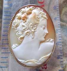 Big Great multi colored carving shell signed by the Artist Circa 1920-1945 the Gold filled brooch/pendant.