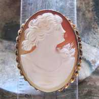 1925-1935 Greatly hand carved Carnelian shell. Red Gold Filled twisted rope Brooch