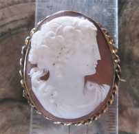Greatly hand carved Victorian Bacchante Sardonyx shell. Gold Plated twisted rope engraved brooch 1875-1895