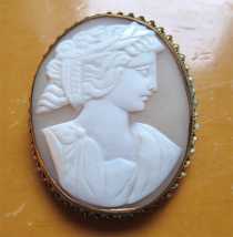 Female profile 1870-1890 hand carved Sardonyx Shell. Unmarked Gold(?)/Gold filled Victorian brooch.