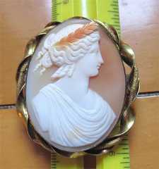 Georgian Museum Quality Empire carved multicolored shell. Unmarked Big Gold(?)/Gold plated Brooch circa 1820th.