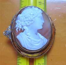 Georgian/Victorian Museum Quality carved/signed shell. Unmarked Big Gold(?)/Gold plated Brooch circa 1830th.
