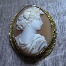 Hand carved Georgian Appolo or Bocchus circa 1770th-1820th. Museum Victorian shell in Gold(?)/Gold filled brooch.