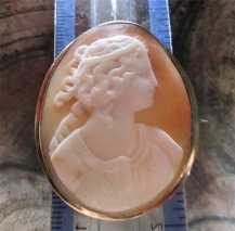 Great Victorian Beauty Shell from 1860-1880 Unmarked/tested 14K Gold brooch.