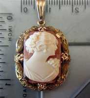 Museum Quality Carnelian Shell Beauty embedded in 3 colors Marked 10K Yellow, Red & Green Gold Pendant