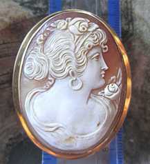 Great Museum Quality carving shell signed by the Artist Marked 14K Yellow Gold Brooch from 1910th