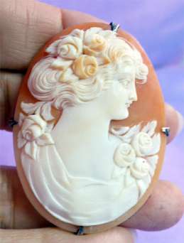 CLASSIC Beautiful Old Shell Cameo Unmounted: