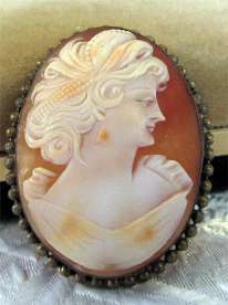 Nice Carving Shell with Polish Beauty type Profile